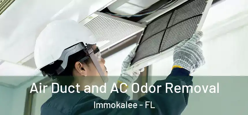 Air Duct and AC Odor Removal Immokalee - FL