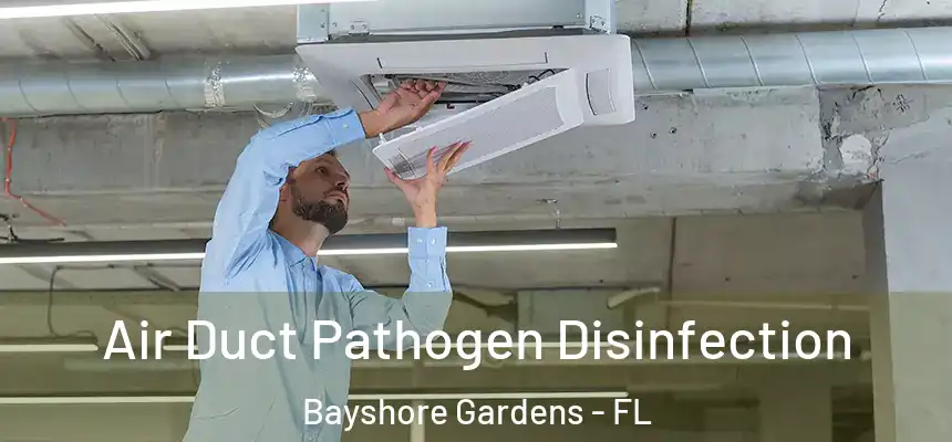 Air Duct Pathogen Disinfection Bayshore Gardens - FL