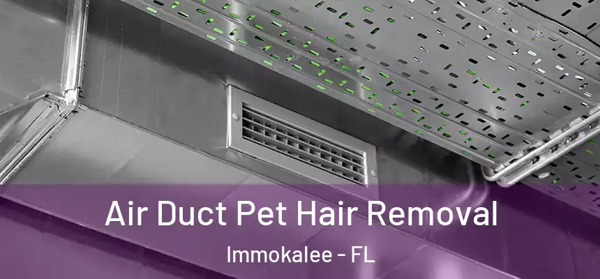 Air Duct Pet Hair Removal Immokalee - FL