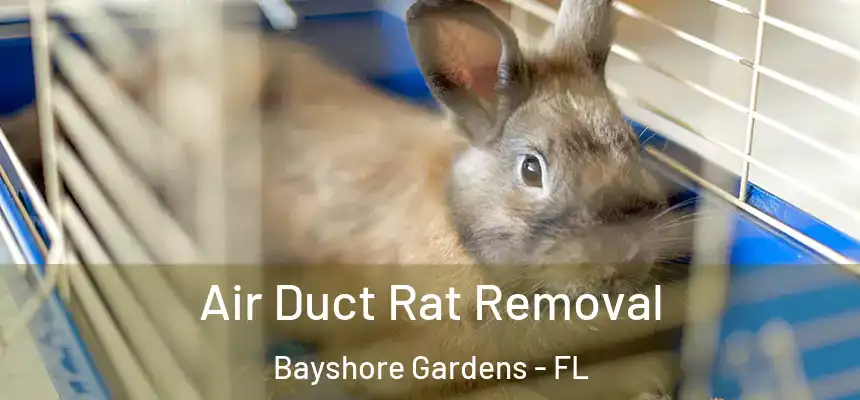  Air Duct Rat Removal Bayshore Gardens - FL