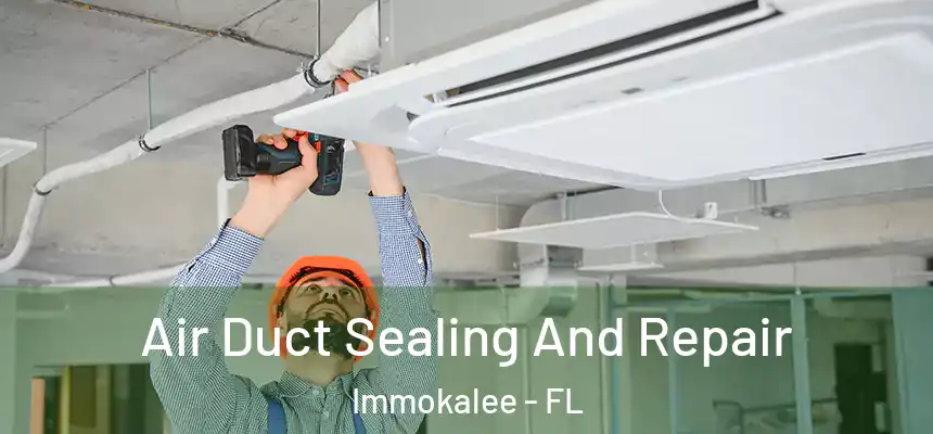 Air Duct Sealing And Repair Immokalee - FL