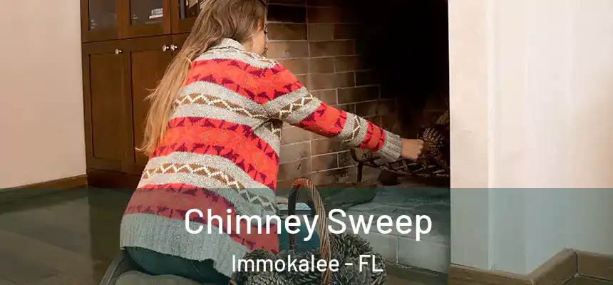 Chimney Sweep Immokalee - FL