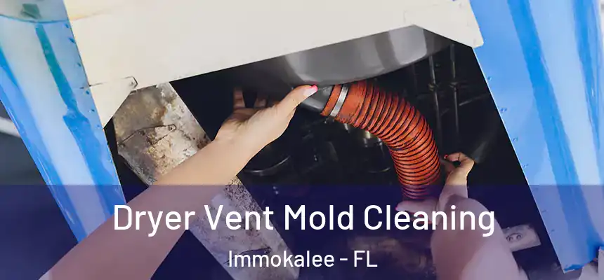 Dryer Vent Mold Cleaning Immokalee - FL