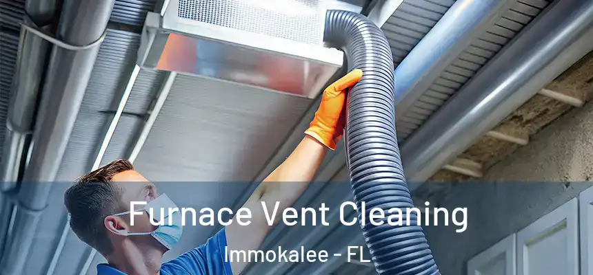 Furnace Vent Cleaning Immokalee - FL