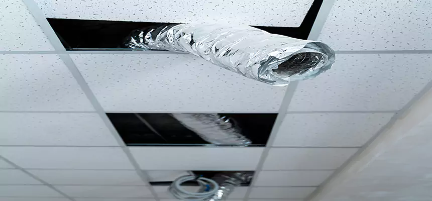 Affordable HVAC Sanitizing After Pest Removal in Immokalee