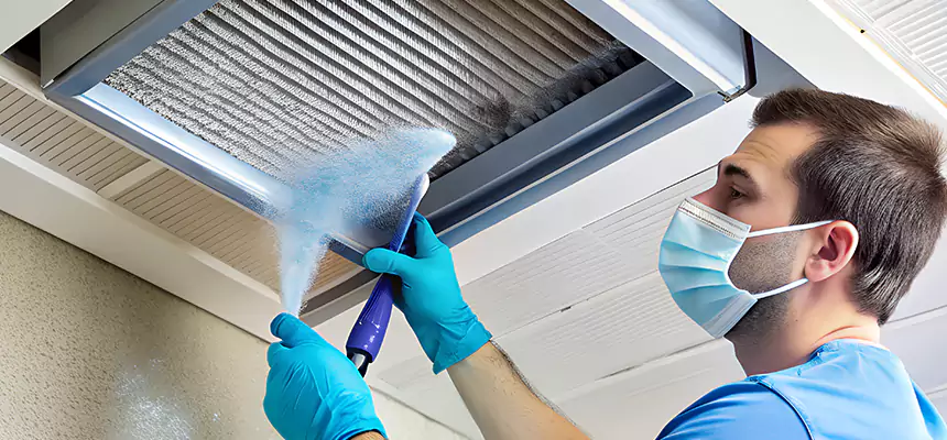 Proactive Dryer Vent & Auxiliary Duct Pollen Cleanup in Immokalee, FL
