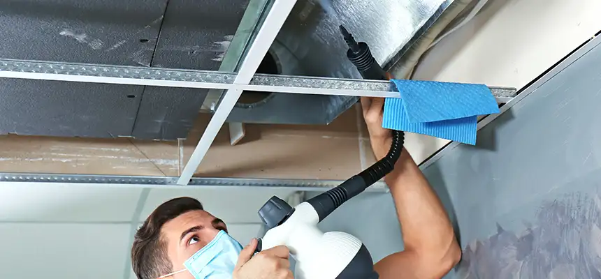 Our Air Duct Rodent Removal Services in Immokalee, FL