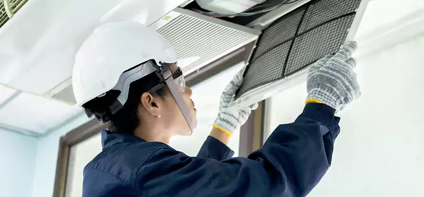 Our Mold & Mildew Removal from Air Ducts Services in Immokalee, FL