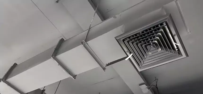 Our Rodent Droppings In Vents Services in Immokalee, FL