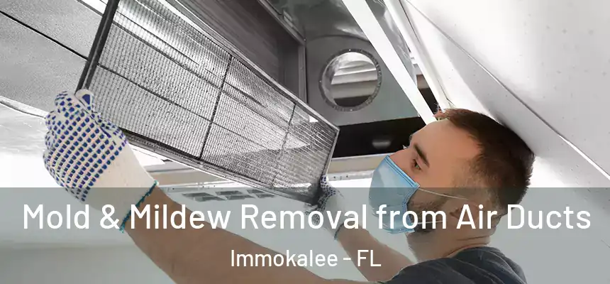 Mold & Mildew Removal from Air Ducts Immokalee - FL