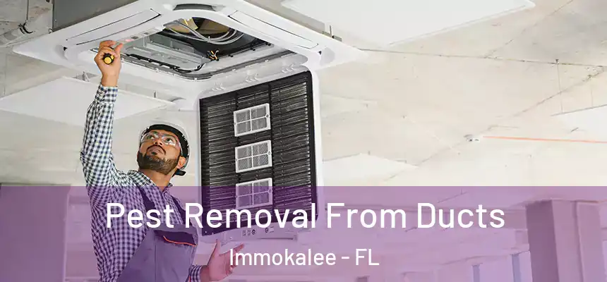Pest Removal From Ducts Immokalee - FL