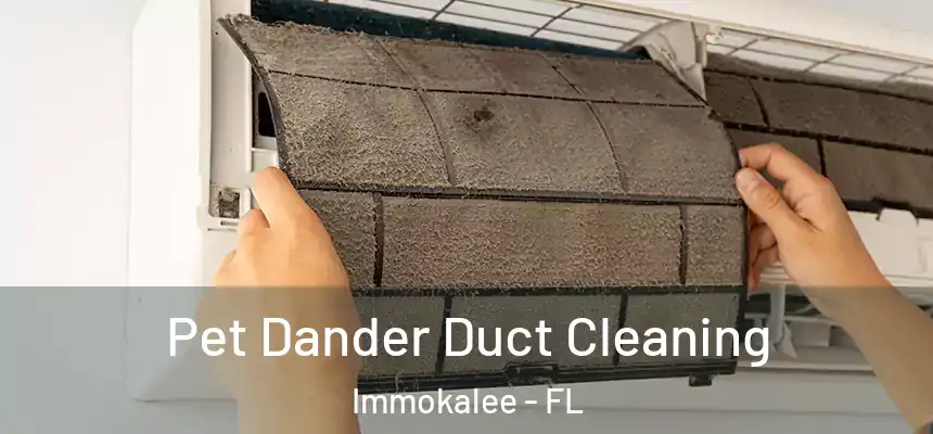 Pet Dander Duct Cleaning Immokalee - FL