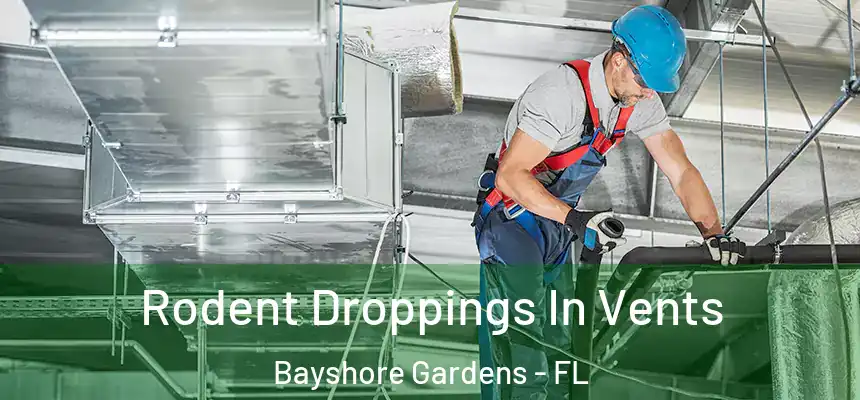 Rodent Droppings In Vents Bayshore Gardens - FL