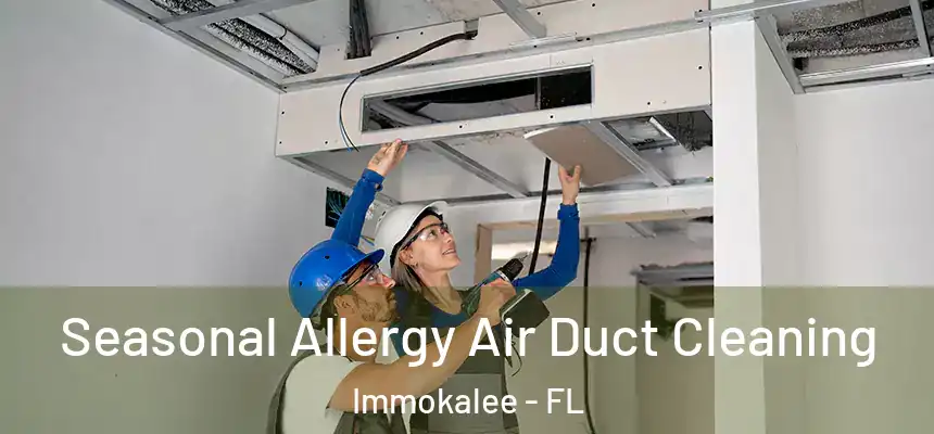 Seasonal Allergy Air Duct Cleaning Immokalee - FL