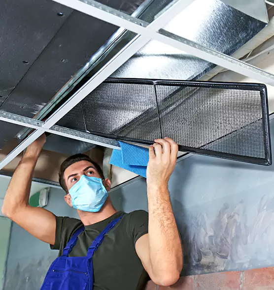About Air Duct Bacteria Removal in Bayshore Gardens