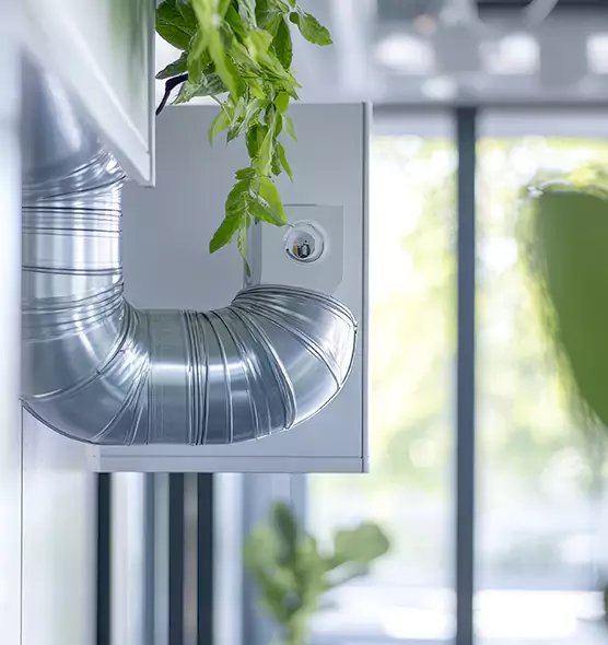 Professional Eco-Safe Dryer Vent Cleaning in Immokalee, FL