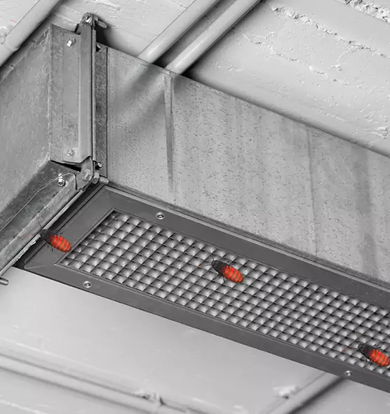 Affordable Insect Removal from Air Ducts in Immokalee, FL