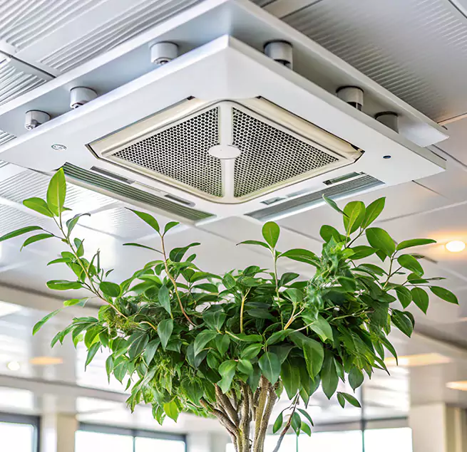 Why Homeowners & Businesses Trust Us in Immokalee, FL?