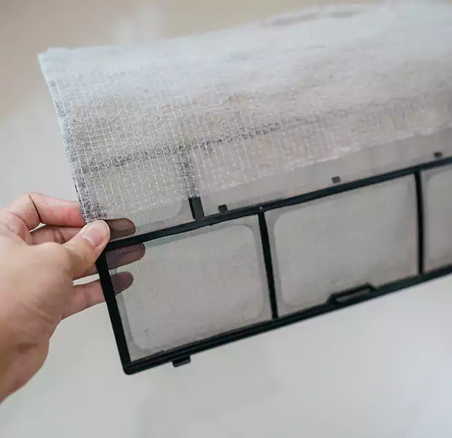 Why Homeowners & Businesses Trust Us in Immokalee, FL?