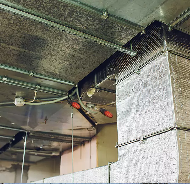 Why Homeowners & Businesses Trust Us Immokalee, FL?