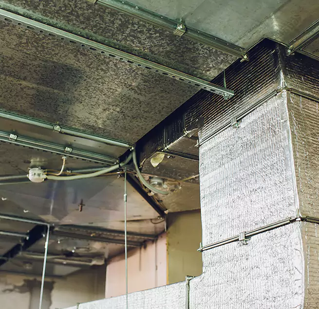 Why Homeowners & Businesses Trust Us in Bayshore Gardens, FL?