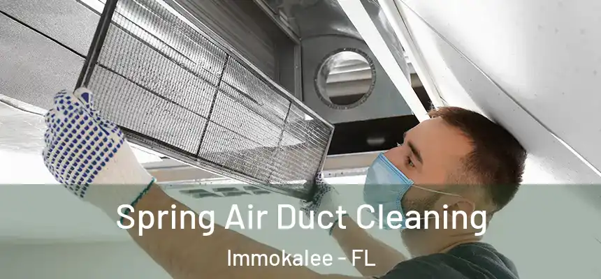 Spring Air Duct Cleaning Immokalee - FL