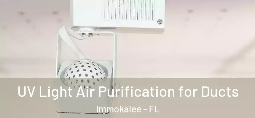 UV Light Air Purification for Ducts Immokalee - FL